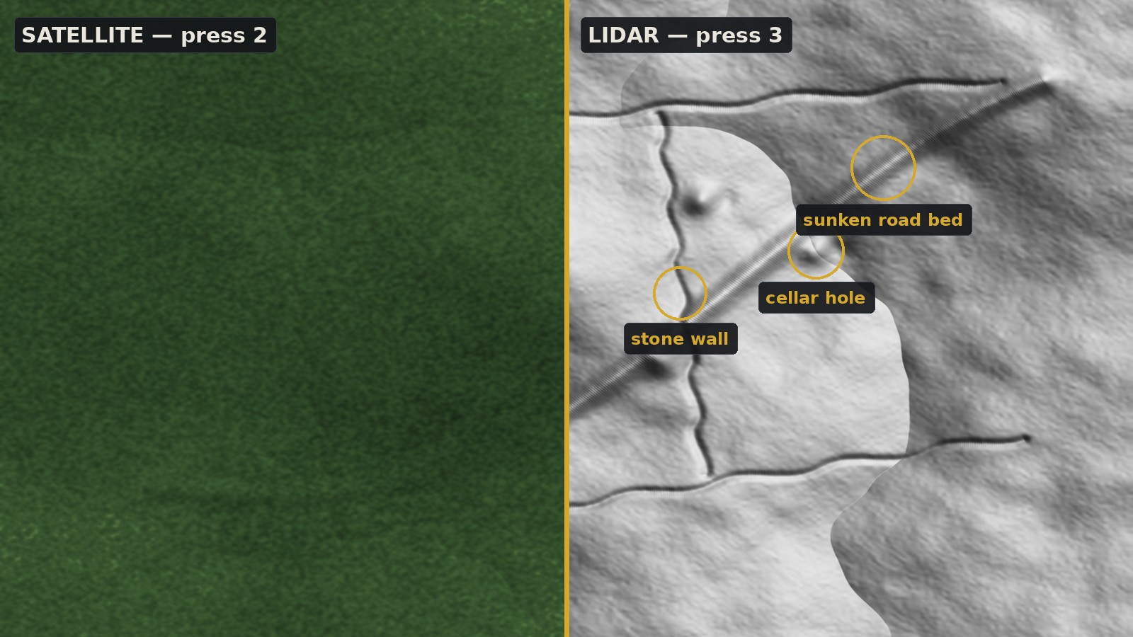 Split view: featureless green forest canopy on the left, LiDAR hillshade on the right revealing a cellar hole, stone walls, and a sunken road